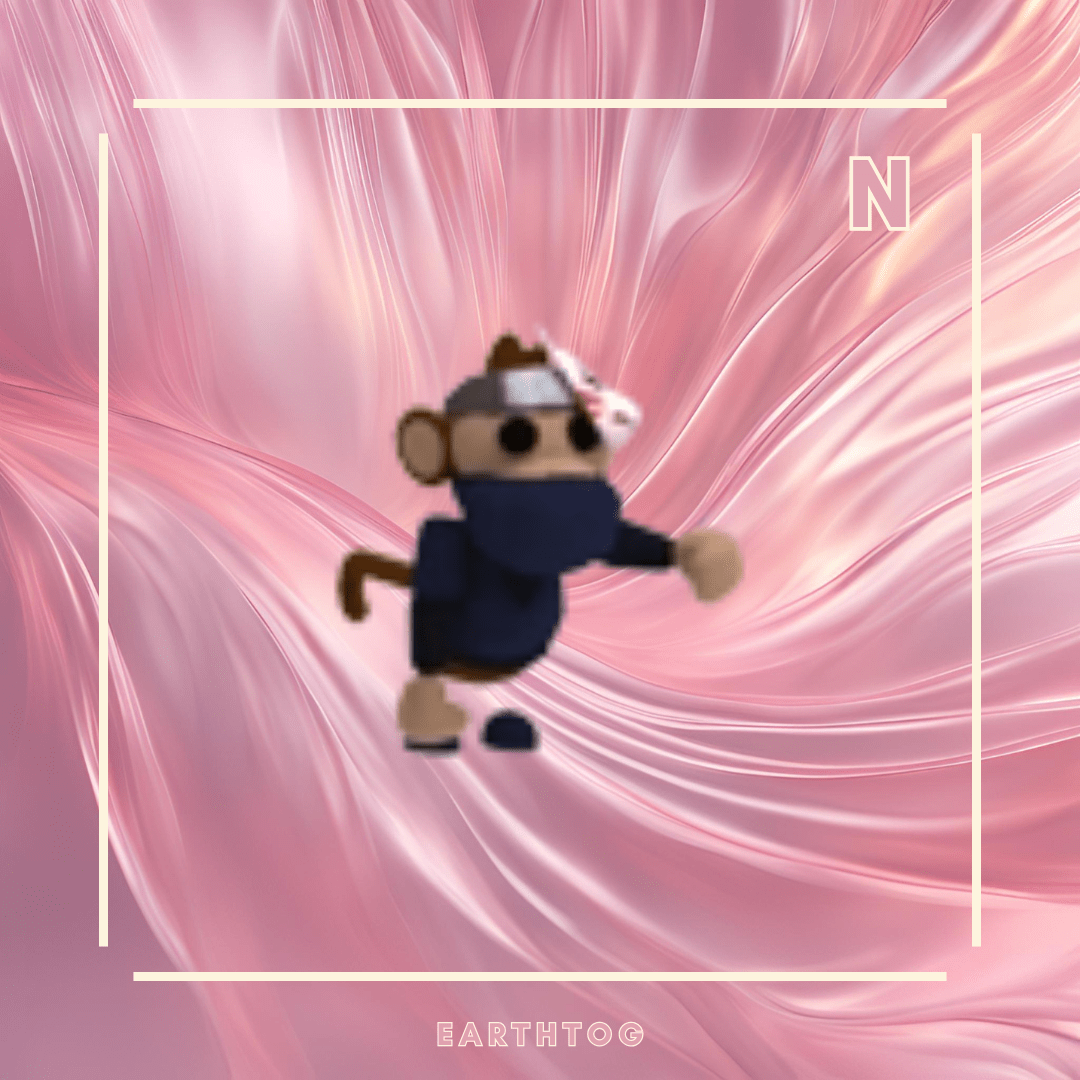 NFR Ninja Monkey - Earthtog.com