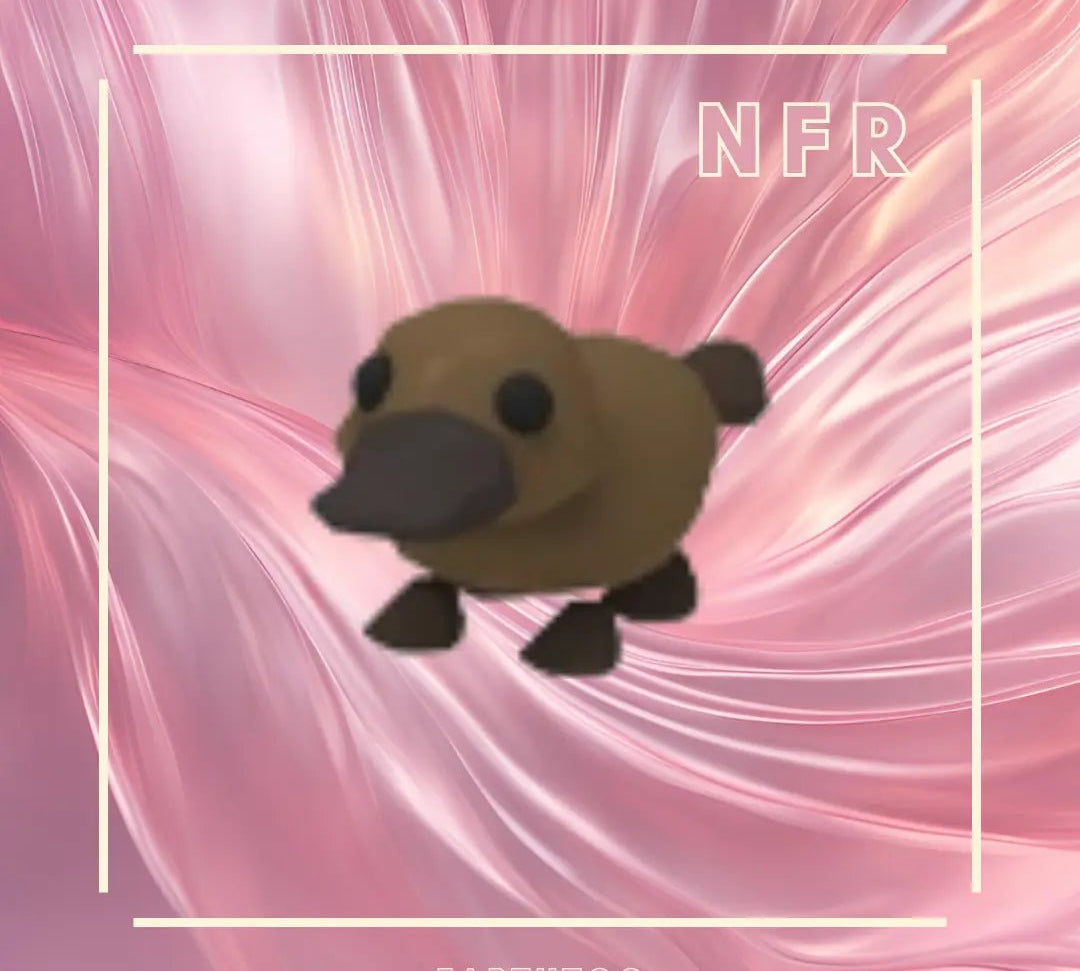 NFR Platypus - Earthtog.com