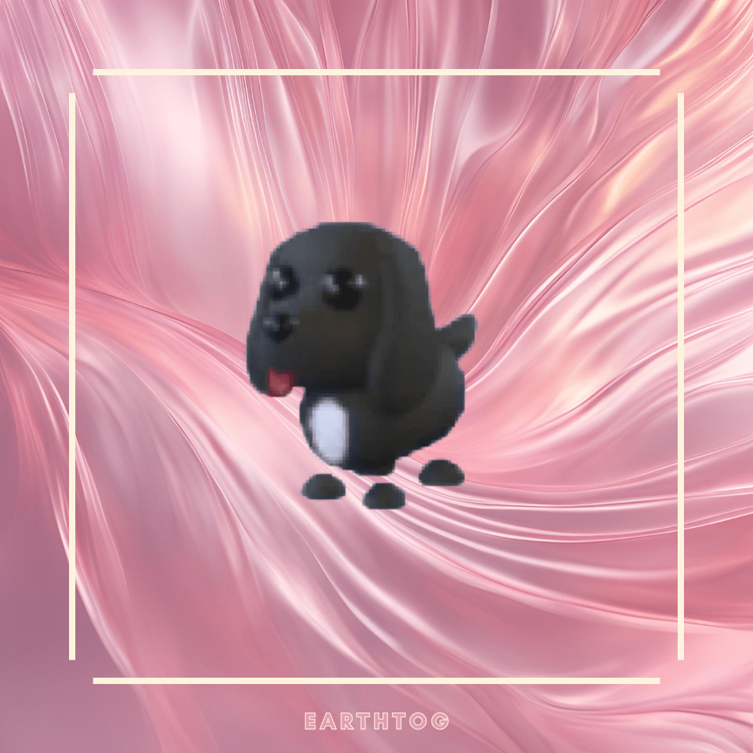 NFR Royal Palace Spaniel - Earthtog.com