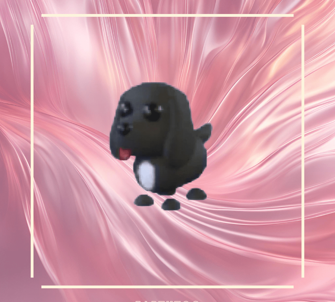 NFR Royal Palace Spaniel - Earthtog.com