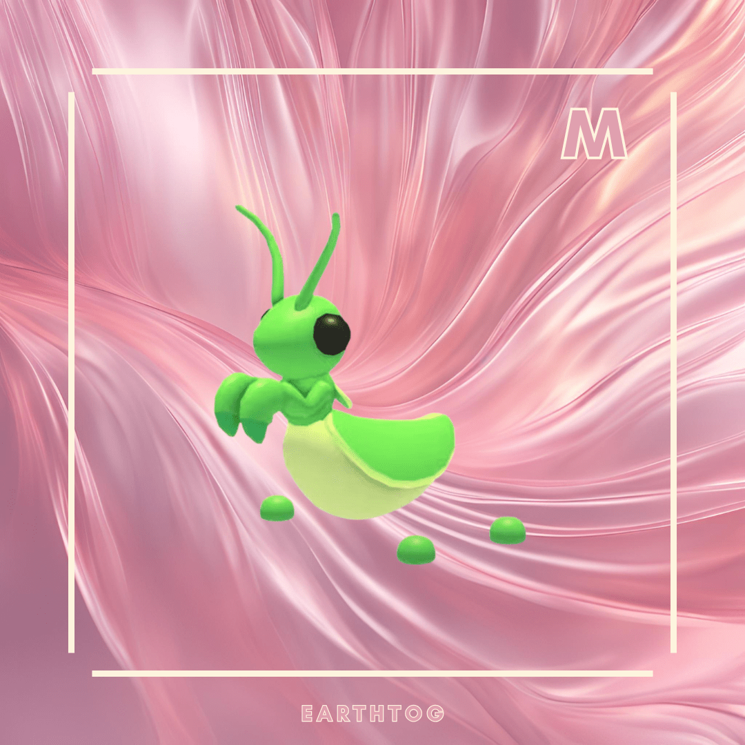 Praying Mantis - Earthtog.com