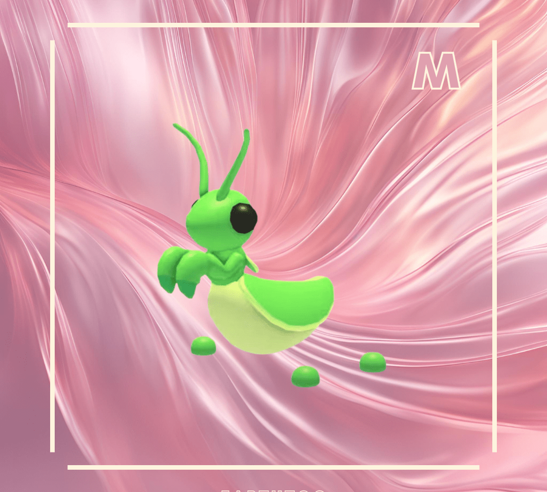 Praying Mantis - Earthtog.com