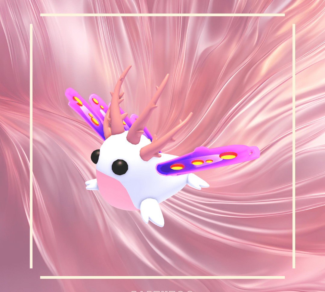 Sea Slug - Earthtog.com