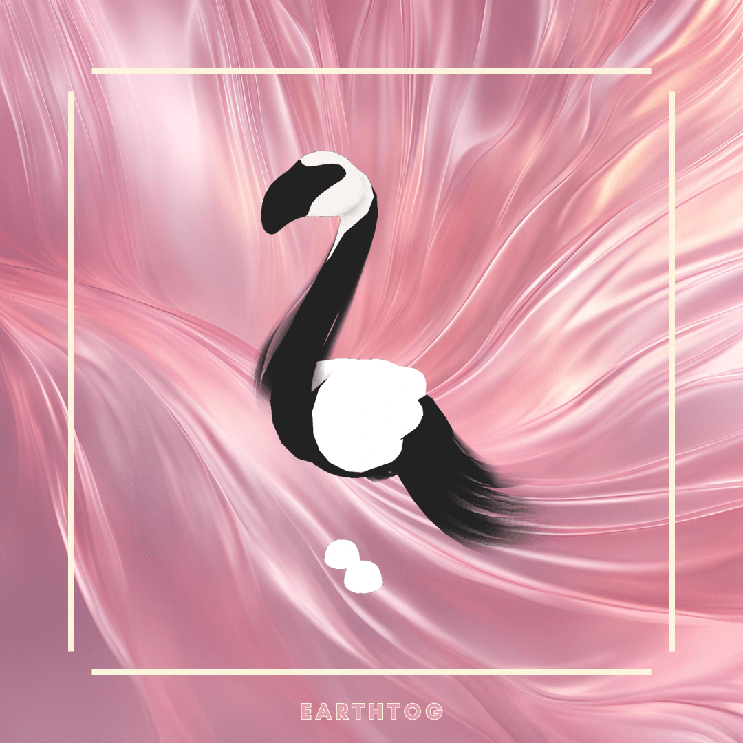 Slimingo - Earthtog.com