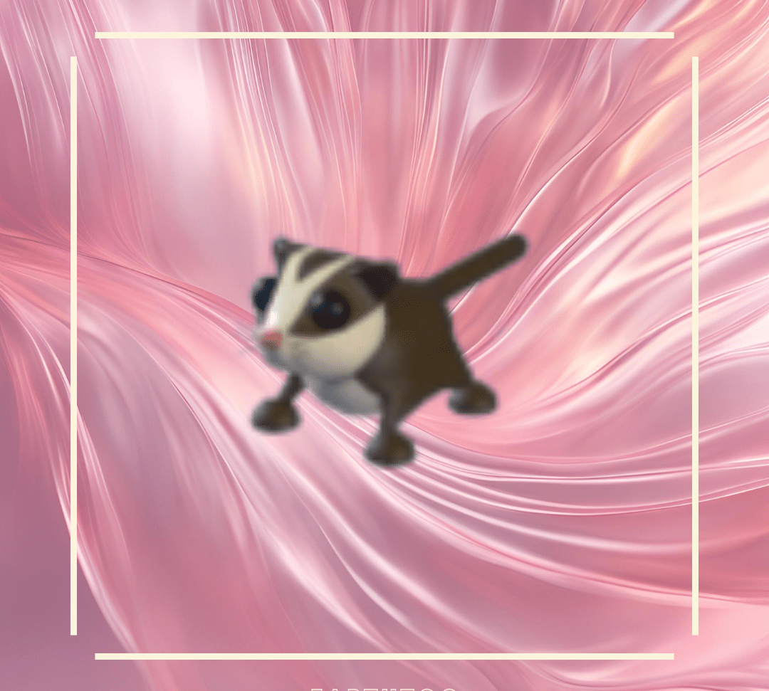 Sugar Glider - Earthtog.com