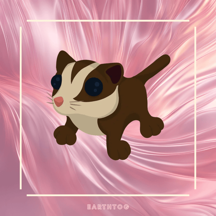 Sugar Glider