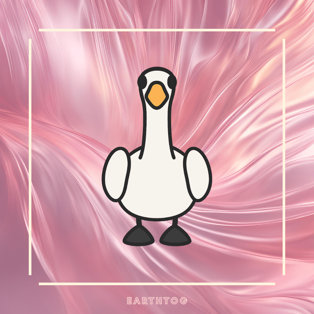 Swan - Earthtog.com
