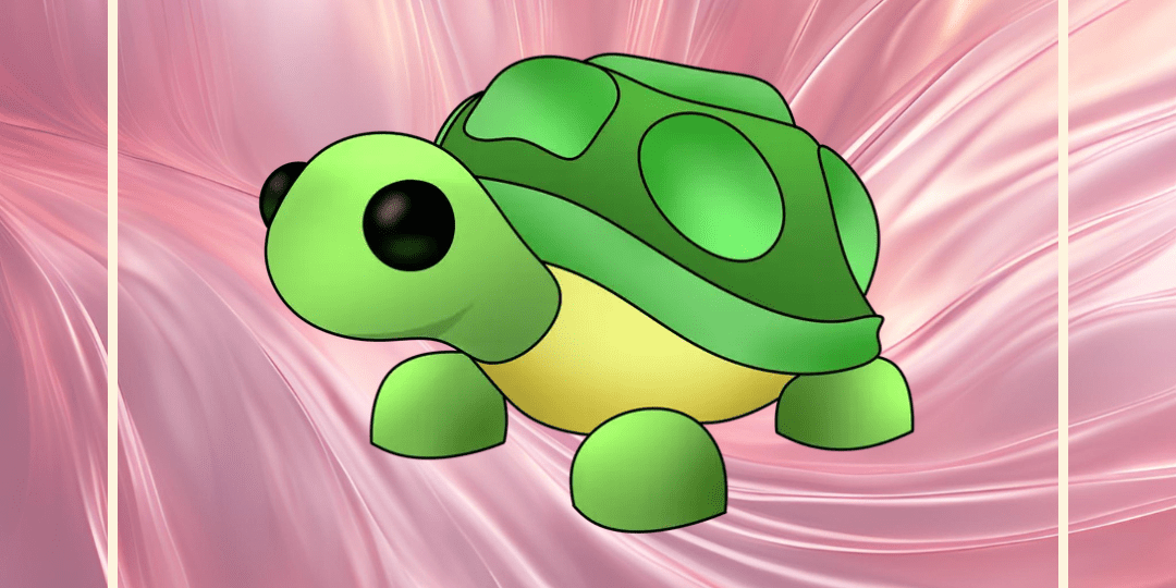 Turtle - Earthtog.com