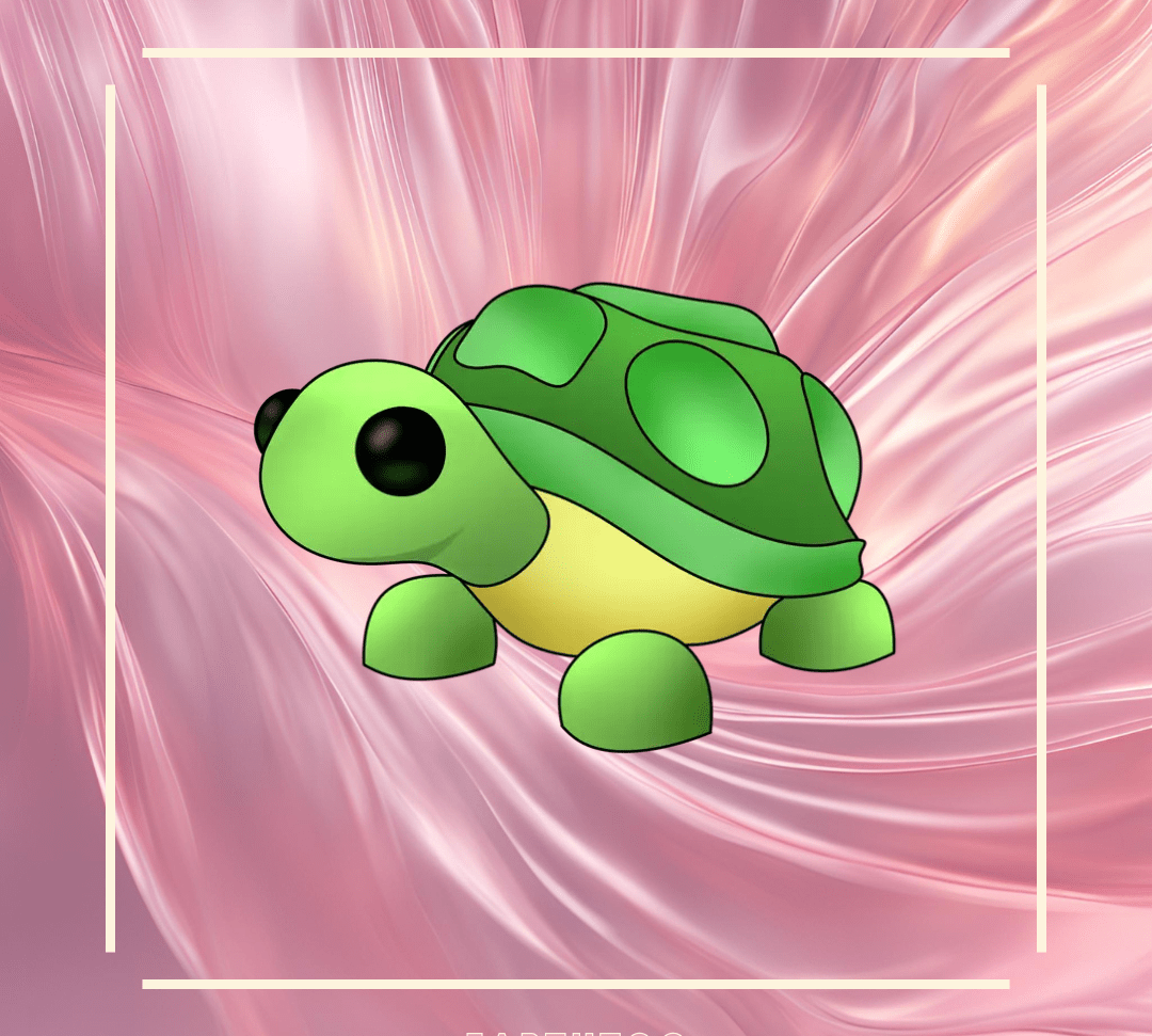 Turtle - Earthtog.com