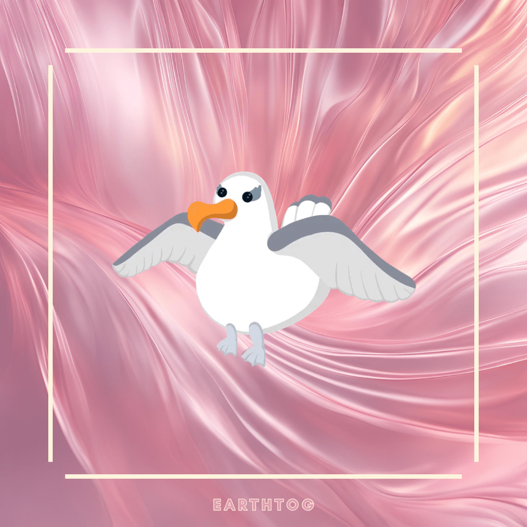x2 Albatross Bundle - Earthtog.com