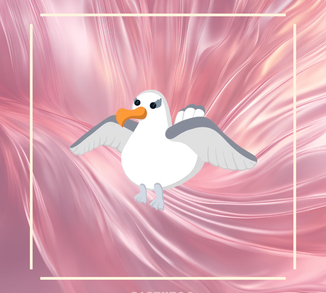 x2 Albatross Bundle - Earthtog.com