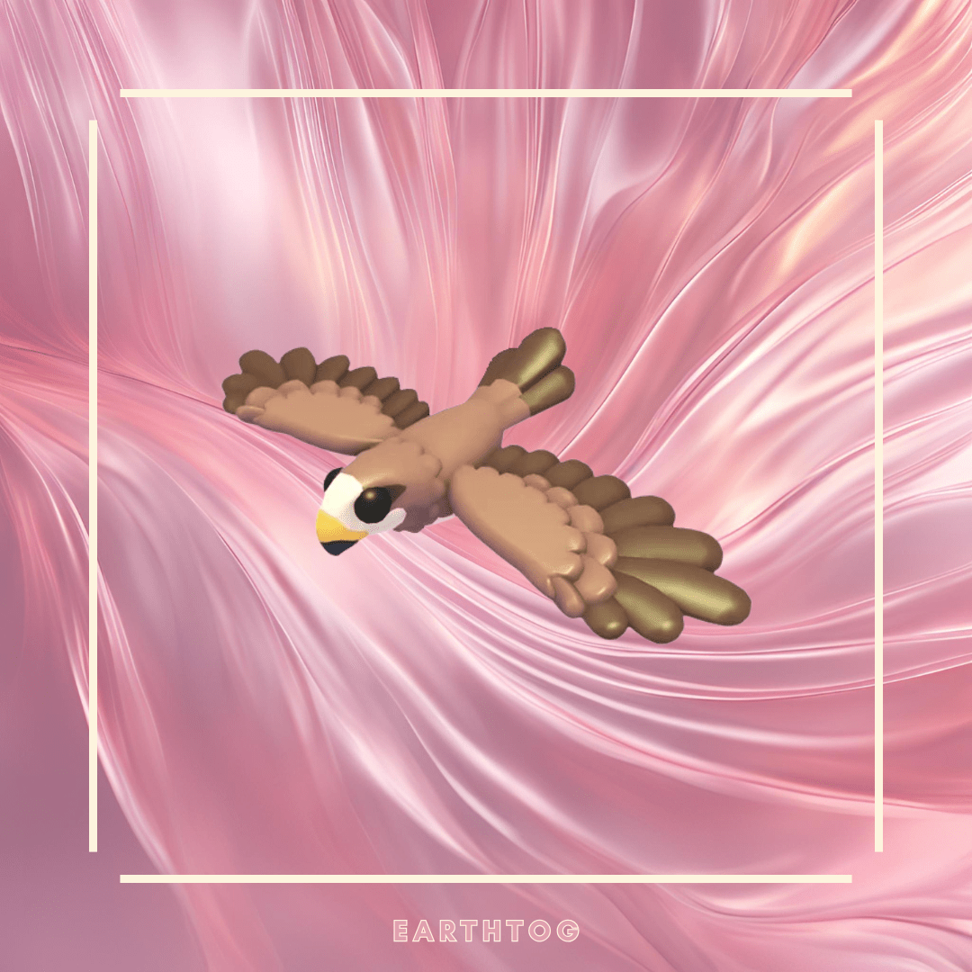 x2 Black Kite Bundle - Earthtog.com