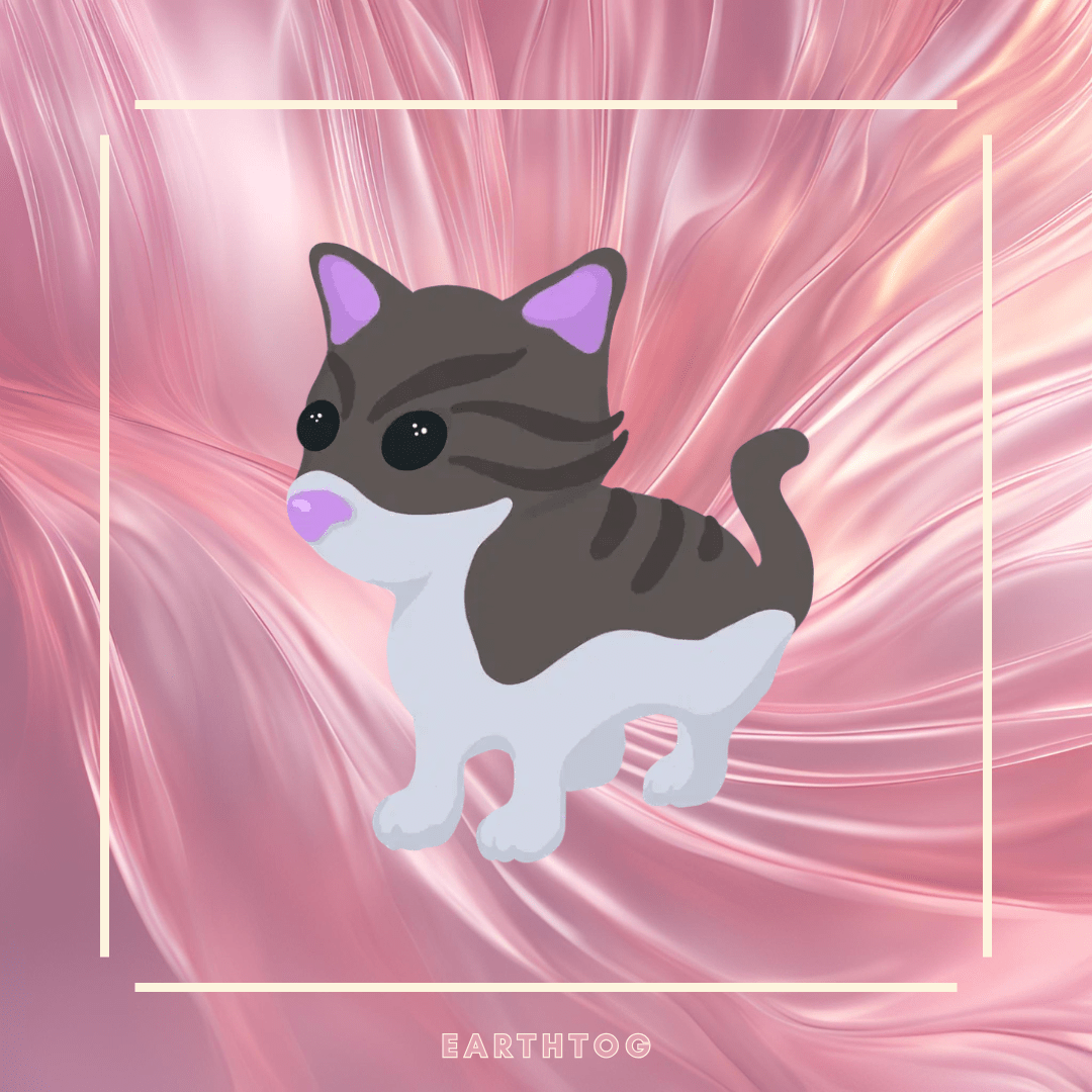 x3 Persian Cat Bundle - Earthtog.com