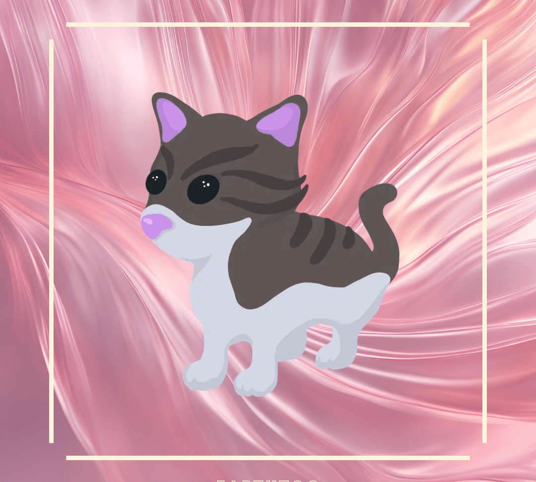 x3 Persian Cat Bundle - Earthtog.com