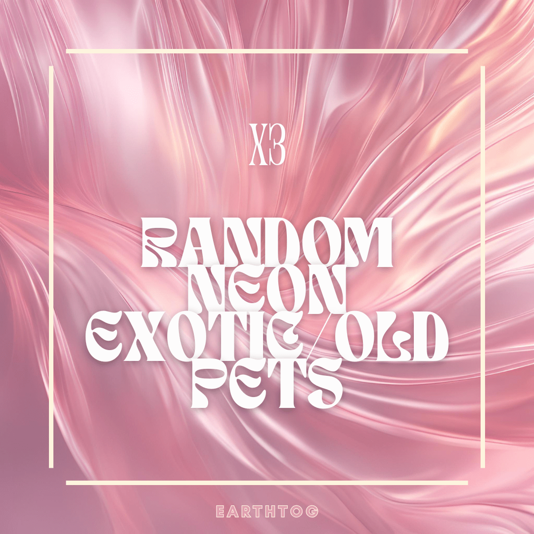 x3 Random Neon Exotic/Old Pets - Earthtog.com