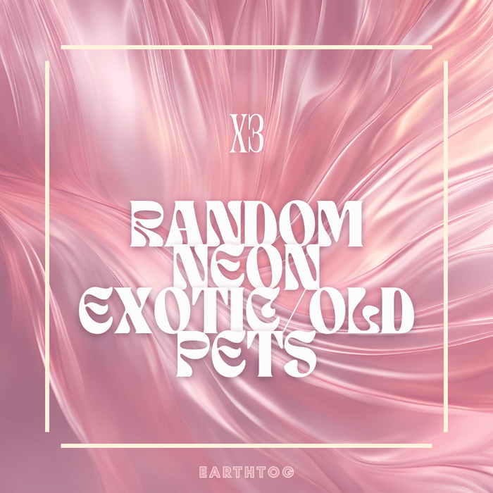 x3 Random Neon Exotic/Old Pets